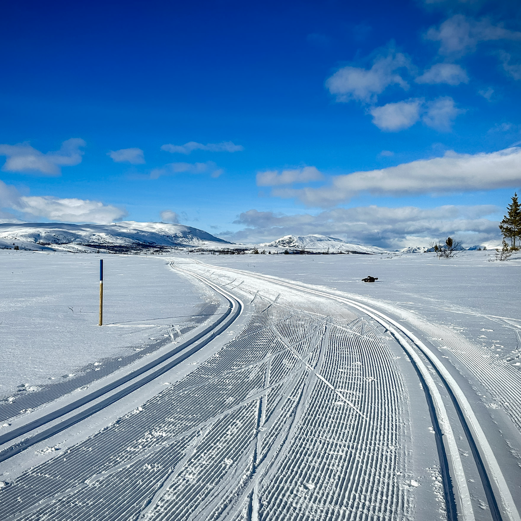 Original winter ski scene