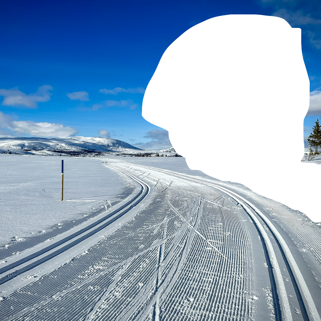 Mask showing editable area